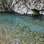 3avechiasegheria تولمين