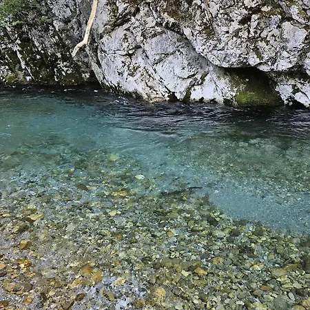 3avechiasegheria Tolmin